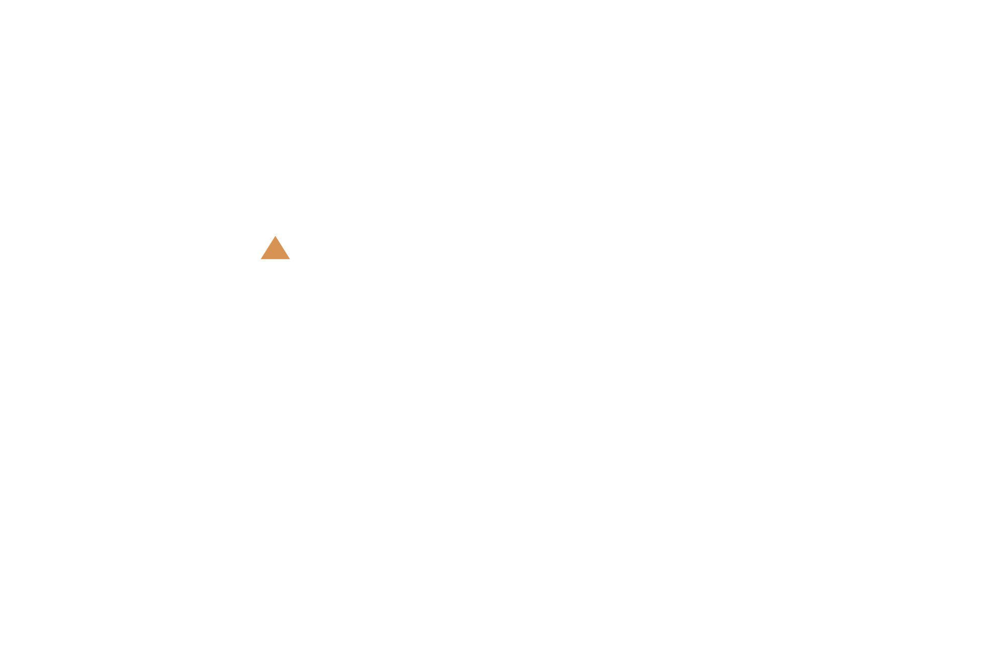 DMA Executive Education
